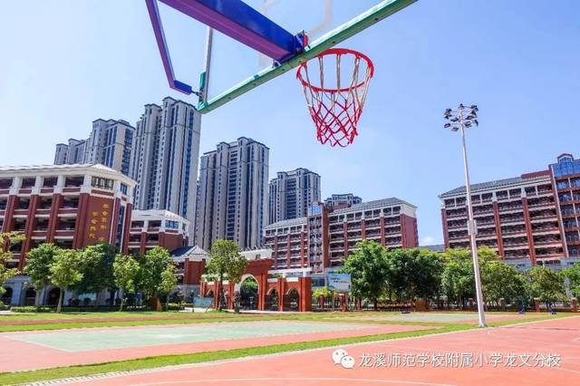 毕业季的主打歌:我不想说再见--记龙师附小龙文