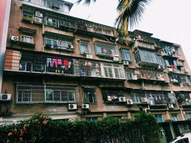 68万㎡儿子还在上大学厦门老人就为孙子抢购老破小那些执着追求学区房