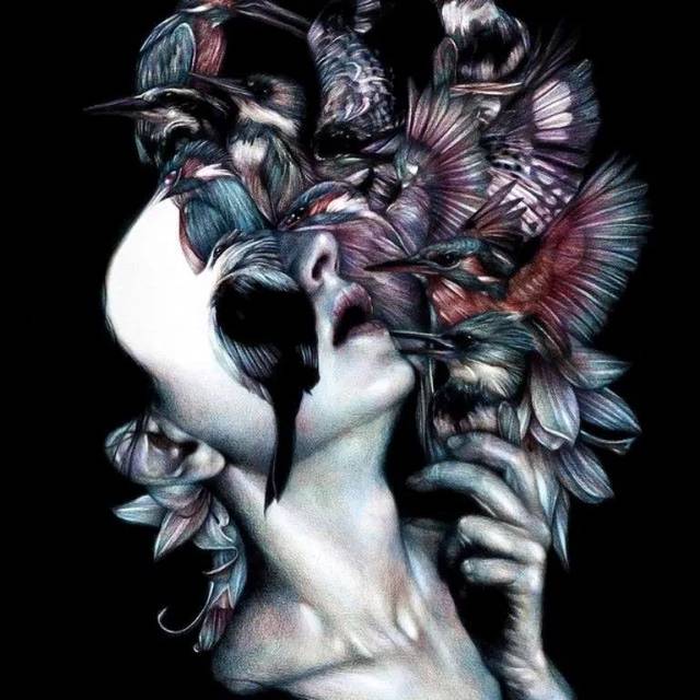 却受28万人的追捧.