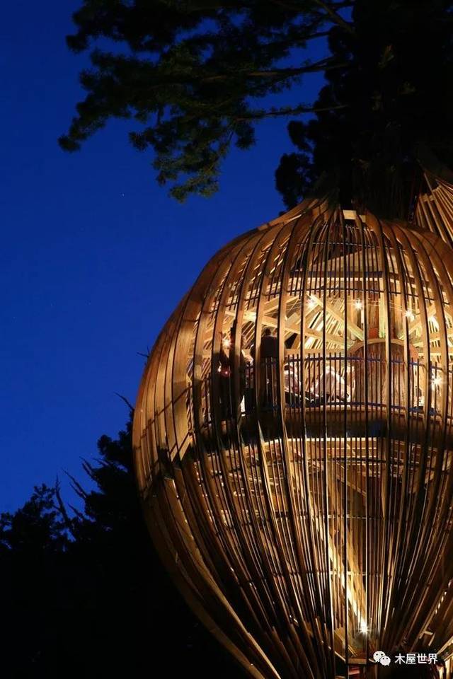 树灯笼餐厅,打造森林中的"鸟笼"