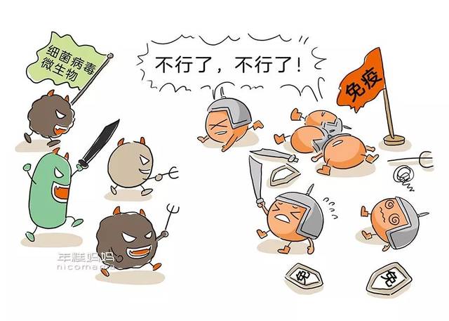 一年生几次病,才能算"免疫力差"?