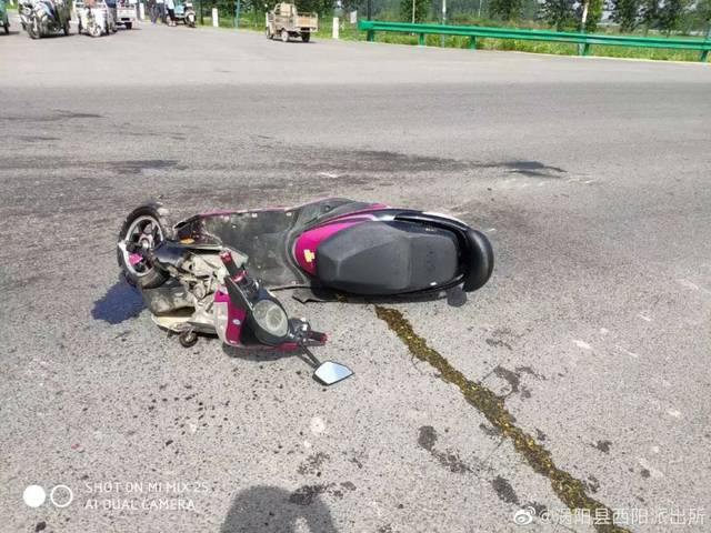 涡阳电动车