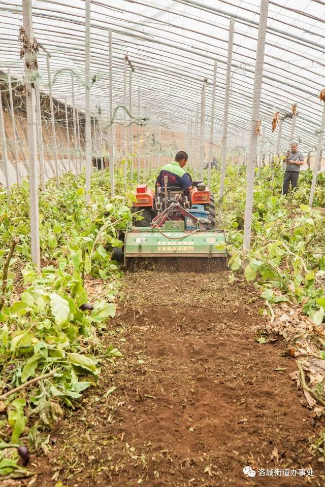 7000多个大棚秸秆还田,寿光这几个村真场面!_手机搜狐网