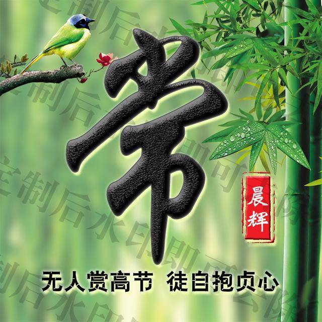 中国风竹报平安姓氏签名头像,走进竹林深处,一