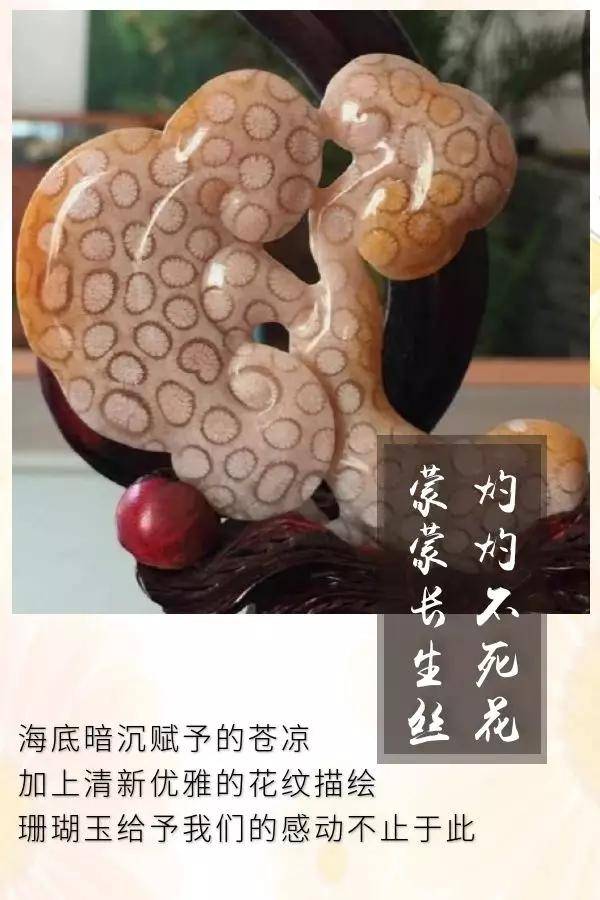 珊瑚和珊瑚玉是近亲，为什么价格差距那么大？_玉化