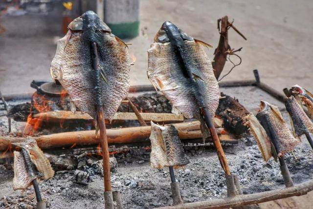 用木棍将鱼串好,排成一排的插好在河滩边上,点燃干柴开始烤!