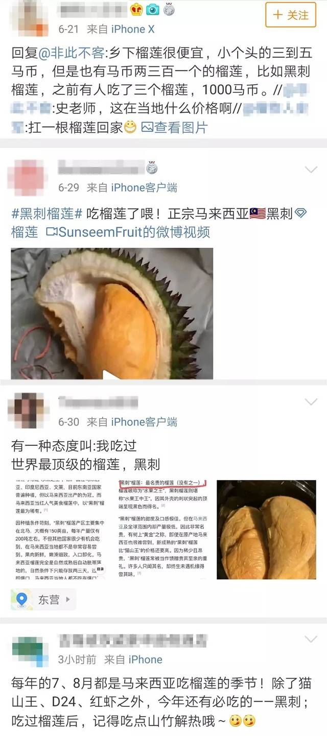 猫山王C位被抢？“黑刺”榴莲售价108元/公斤，远超猫山王身价_搜狐网