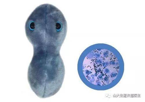 一次高危性生活,差点断子绝孙!