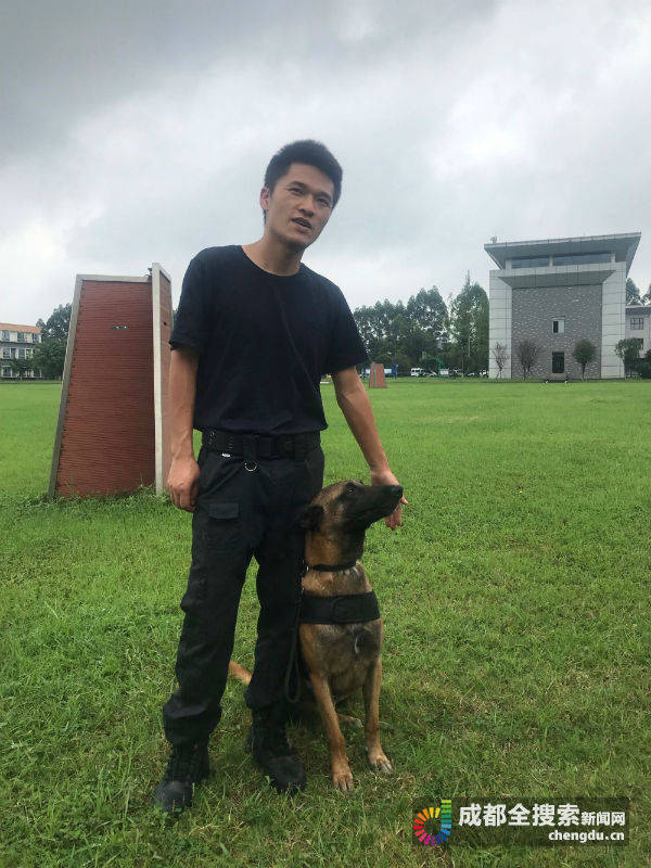 威猛帅气!成都警犬备战世警会安保工作