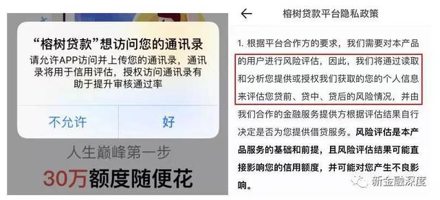 榕树贷款app
