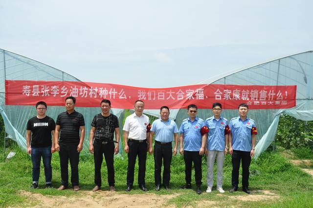 水稻种子批发市场动态分析