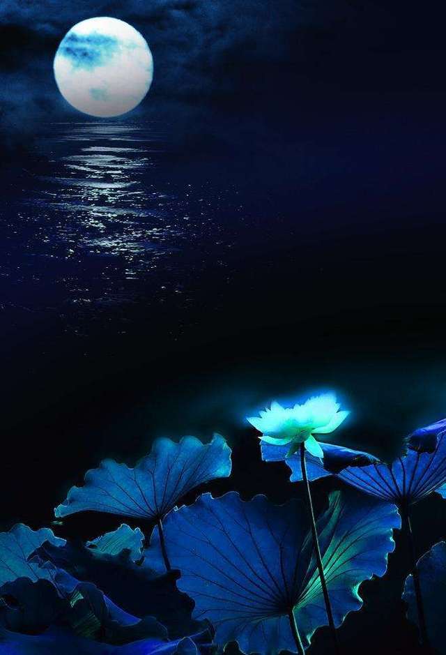 不知作者也没有题目28字古诗却有4个几读来如同一首歌