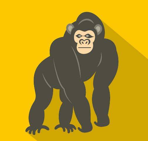 达尔文超越者,超越重疾险的极限