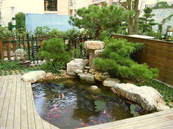 家里饲养锦鲤如何保持更好的风水需要一个室外鱼池过滤器