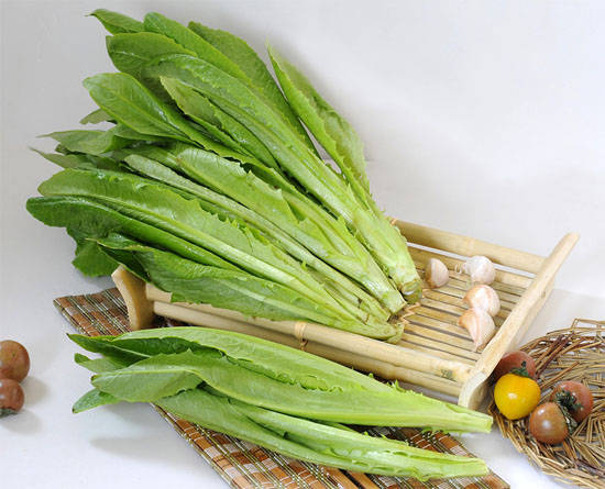 麻辣烫食材篇—油麦菜_手机搜狐网