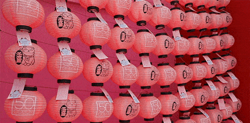 500_246gif 动态图 动图