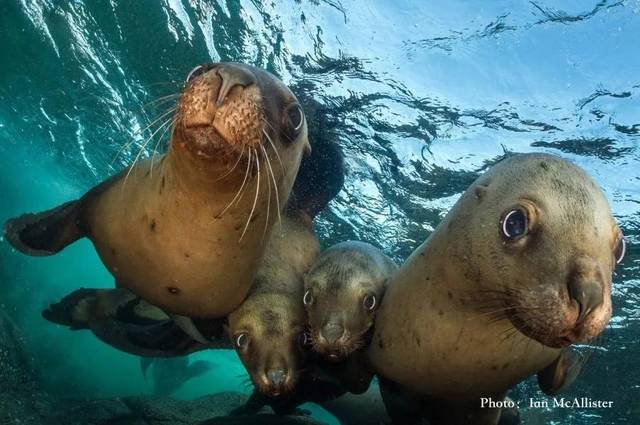 淮南水族馆不靠谱