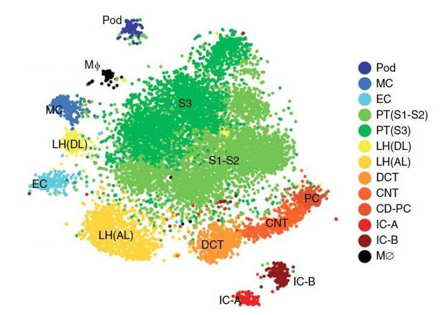 origin绘制个性化的分组散点图_手机搜狐网