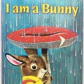 这部i am   bunny的作者就是著名的 richard scarry.