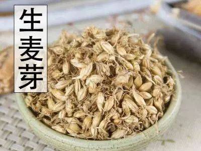 生麦芽、炒麦芽、焦麦芽，一字不同效不同_搜狐网