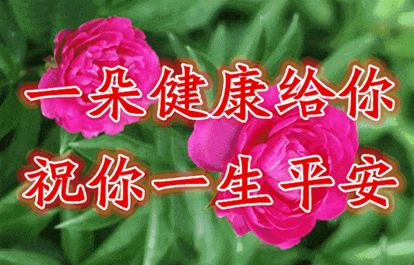 你唱的太好了动态图片,送给唱歌人的动态图片,唱的太好听了带字图片(第10页)_文秘苑图库