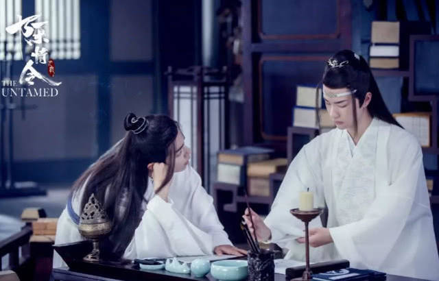 陈情令》结局蓝忘机魏无羡分道扬镳，一个匡扶天下，一个归隐！_搜狐网
