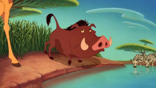 以及"pumbaa"(彭彭)均来自斯瓦希里语,意思分别为"狮子","幻景","朋友