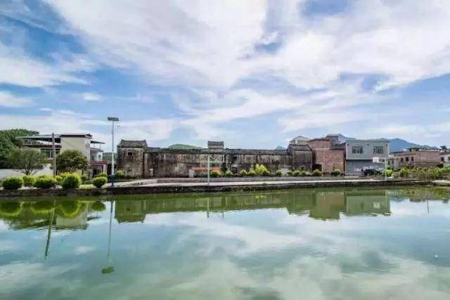 从"无中生有"到"行业翘楚",韶关翁源兰花产业园如何实现?