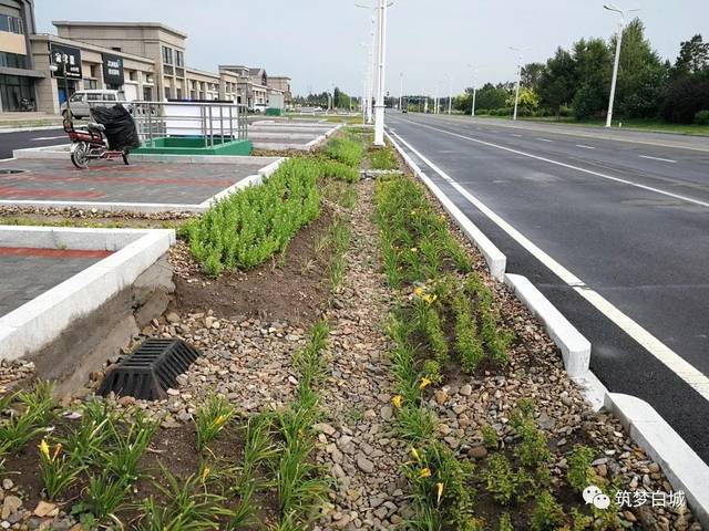 道路生物滞留带碎石铺底清淤区做法