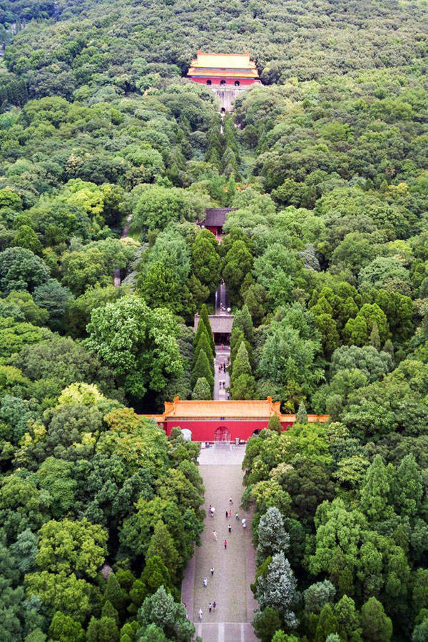 南京紫金山,中国首个国家级森林公园,中华城中人文第一山