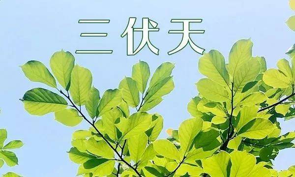 2019年三伏天時間:共40天