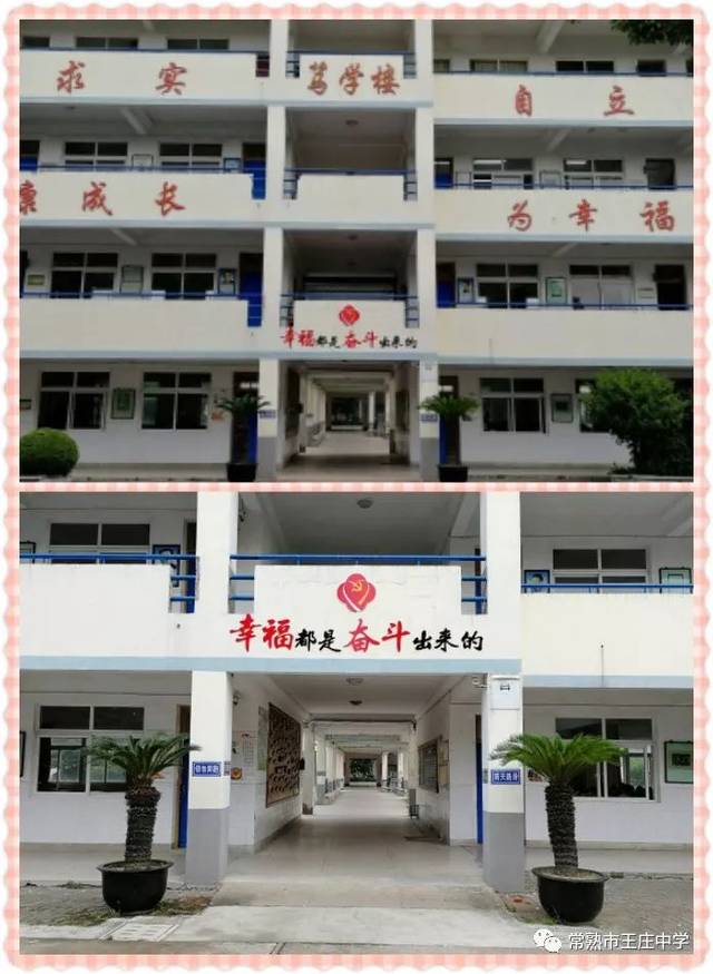 蓄青春力量 寻未来梦想——王庄中学举行2019届初三毕业典礼