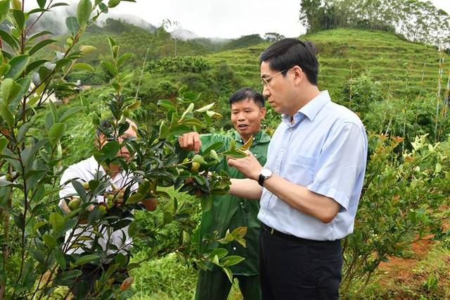 广西北流清湾镇首富图片