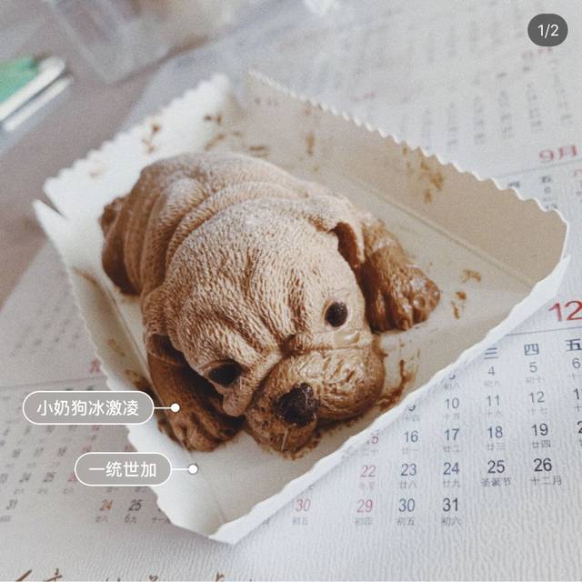 雪糕测评 | 为了找到最好吃的网红雪糕,我连吃了8条!