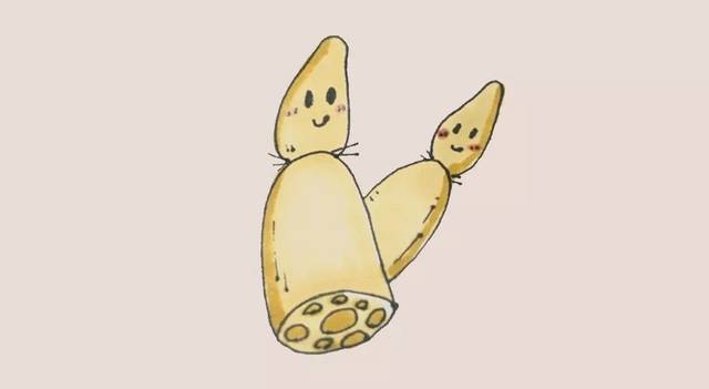 荷花,莲藕简笔画来袭,超级适合教孩子画