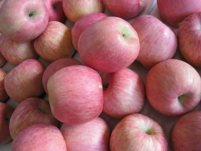 银川正式"改名"!未来的发展不可估量!