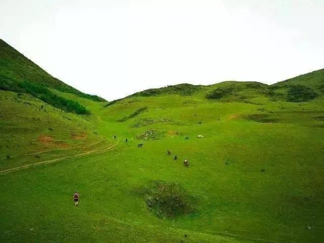 【一日游|周日】"雅安·泥巴山"徒步爬山