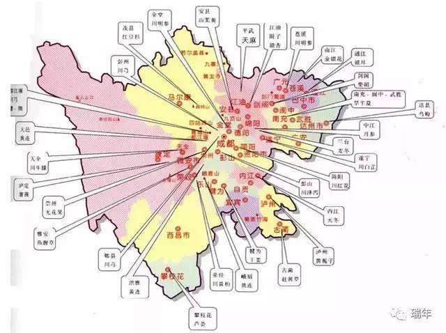 中国十大道地药材产地
