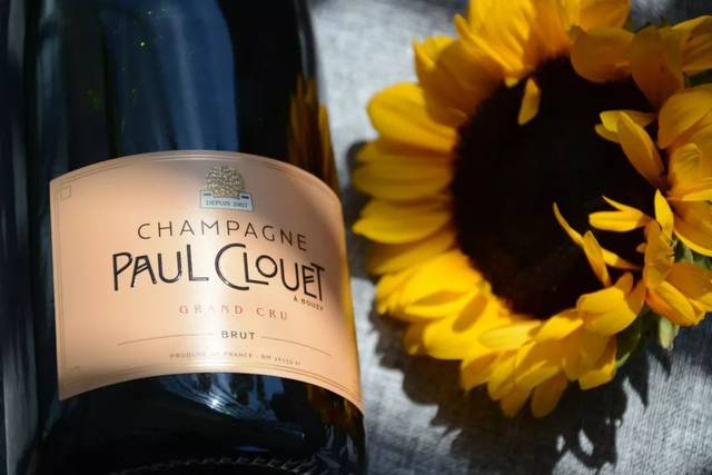 五大香槟子产区 典型香槟品鉴_手机搜狐网