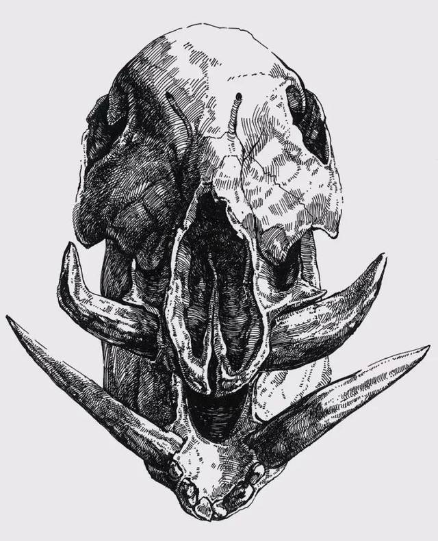 国外顶级艺术家是如何用针管笔展示线条魅力的