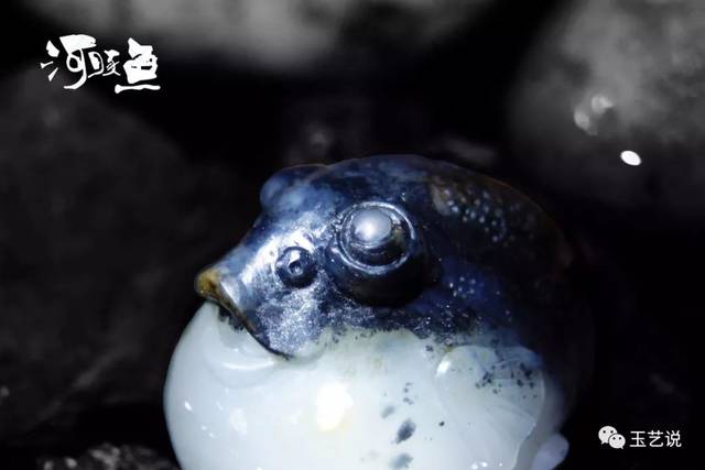 张杰作品—河豚