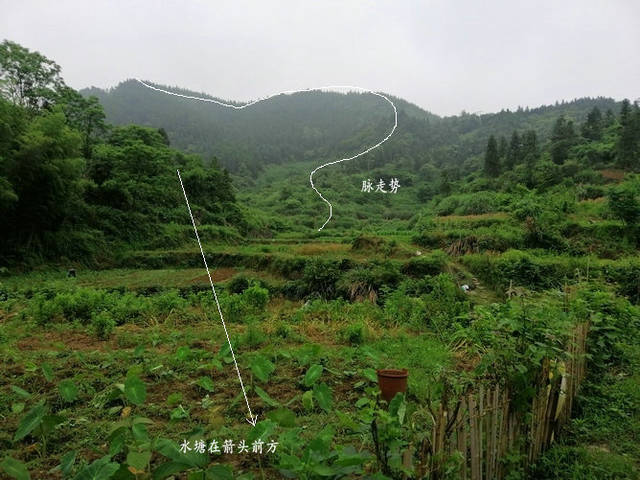 湖南山里一穴风水地下山莽形向有官帽,这个墓地祖坟风水引来了很多