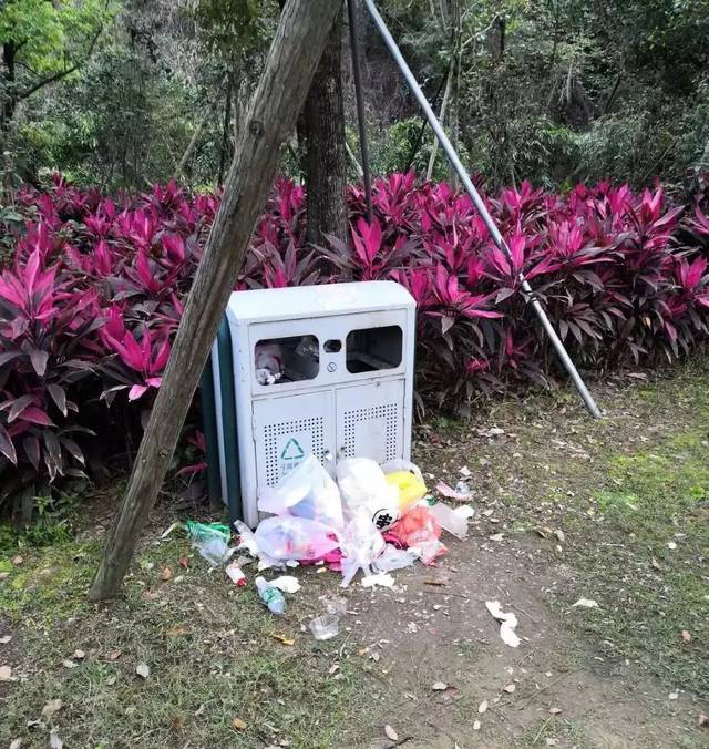 有人直接将果皮的零碎垃圾放在垃圾桶上吃饱喝足后垃圾随手乱扔在这