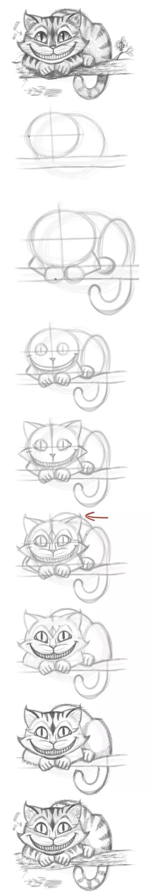 一学就会！猫的50个画法，教你在纸上养个主子_搜狐网, image size:640x3791