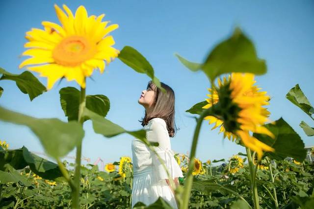 不管是和家人,恋人还是朋友 都阔以轻轻松松拍出美爆朋友圈的照片