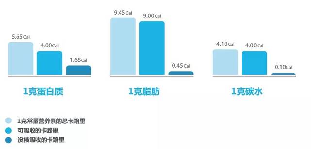 卡路里计算真的那么有必要吗?