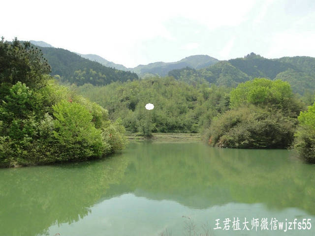 风水宝地龙吐珠穴风水大师王君植在南方寻龙点穴看墓地祖坟风水现场
