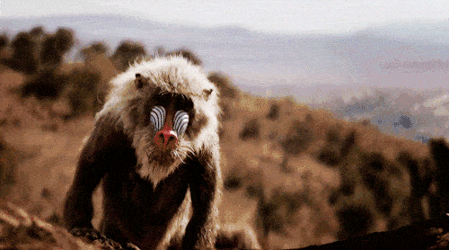 500_278gif 动态图 动图
