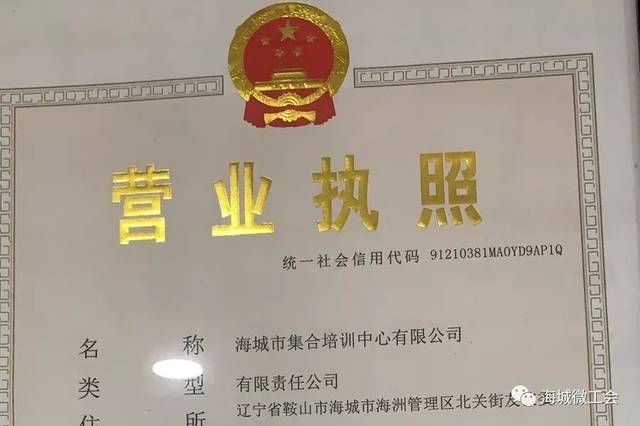 营业执照,并具备海城市教育局颁发的民办学校办学许可资质的教育培训