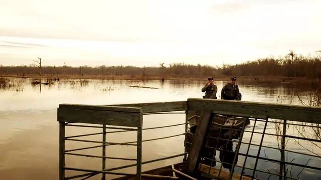 《万鳄深渊》:沼泽内命案频发,深渊巨鳄重回人